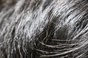 白髪の治る食べ物は黒ごま?サプリやストレスの影響